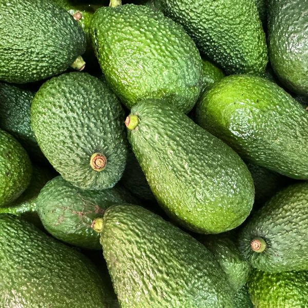 Aguacate