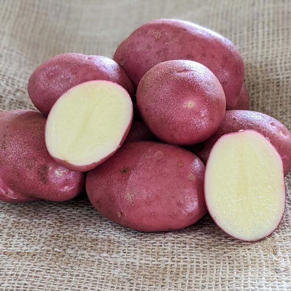 Patatas