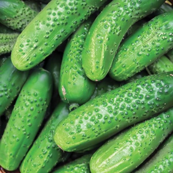 Pepinos