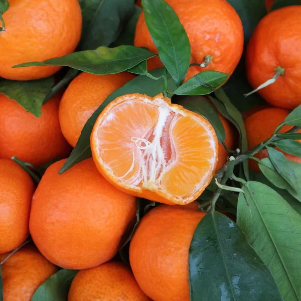Clementinas