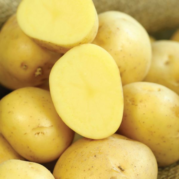 Patatas