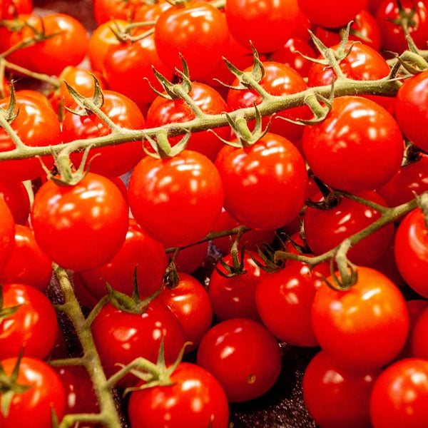 Tomates